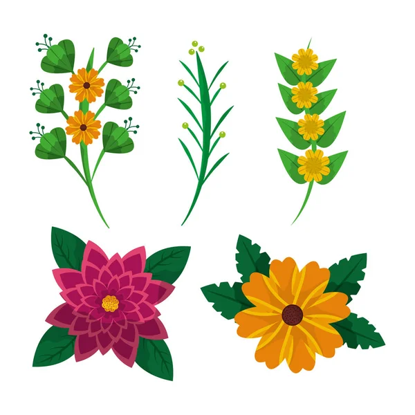 Zestaw kwiatowy kwiaty liść naturalny ornament ozdoba — Wektor stockowy