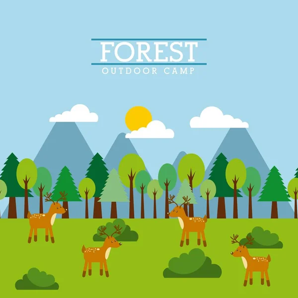 Wald und Tiere Wildtiere natürlich — Stockvektor