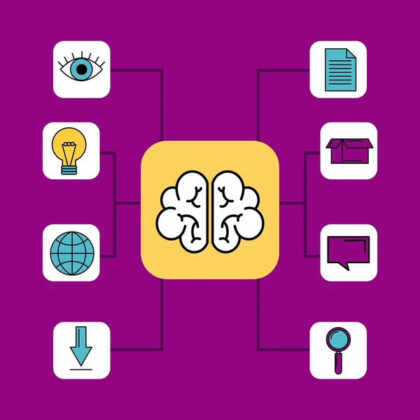 Gehirn Idee Wissen Denken Diagramm Organisation — Stockvektor