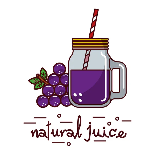 Pamplemousse et jus naturel verre et paille — Image vectorielle