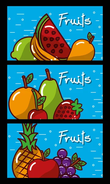 Banderas frutas sabrosas naturales frescas — Vector de stock