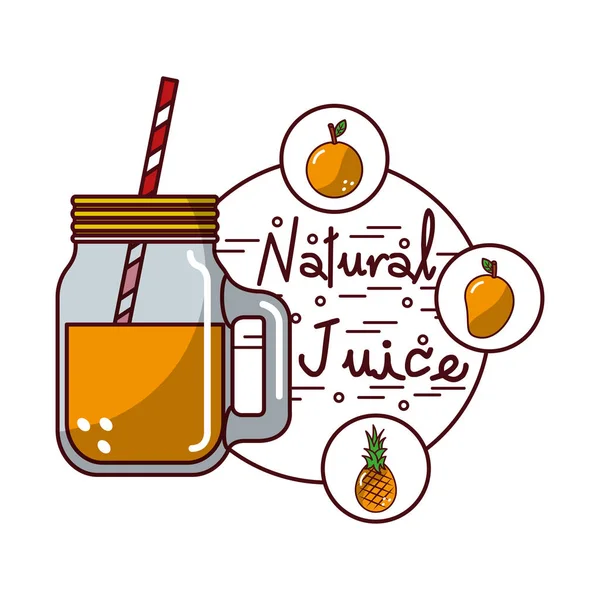Orange ananas mangue fruit et verre pot jus naturel — Image vectorielle