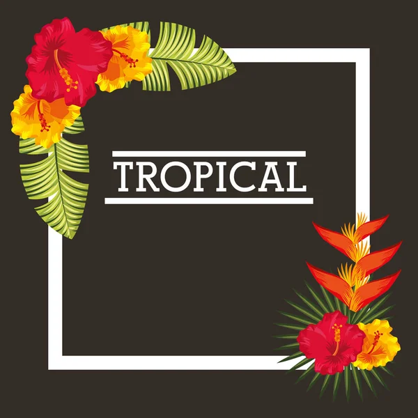 Folhas tropicais flores cartão —  Vetores de Stock