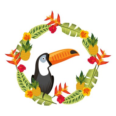 Hava çiçek tropikal dekorasyonda egzotik toucan