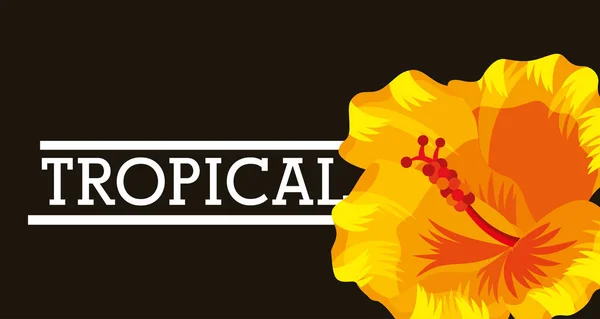 Flor tropical folhas cartão — Vetor de Stock