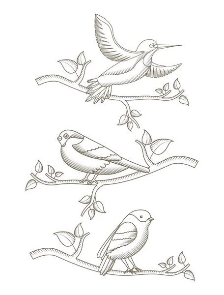 Dessin d'oiseaux dans un arbre à branches décoration naturelle — Image vectorielle