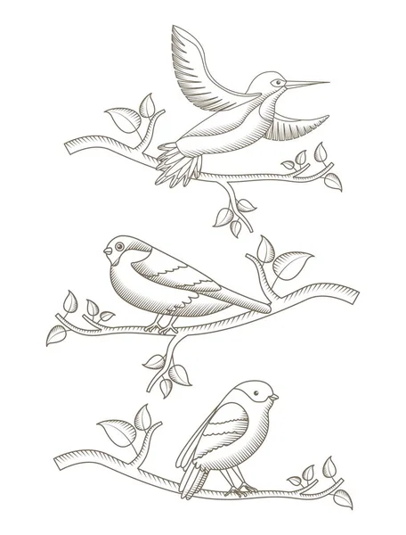 Малюнок птахів у гілці дерева природні прикраси — стоковий вектор