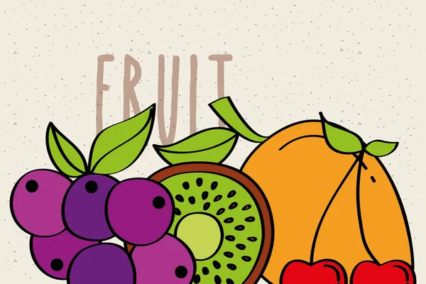 Trauben Mango Kiwi Kirsche Früchte frisch Banner — Stockvektor