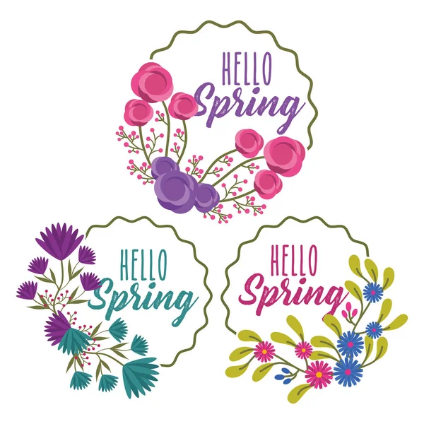 Belleza flores etiquetas hola colección primavera — Vector de stock