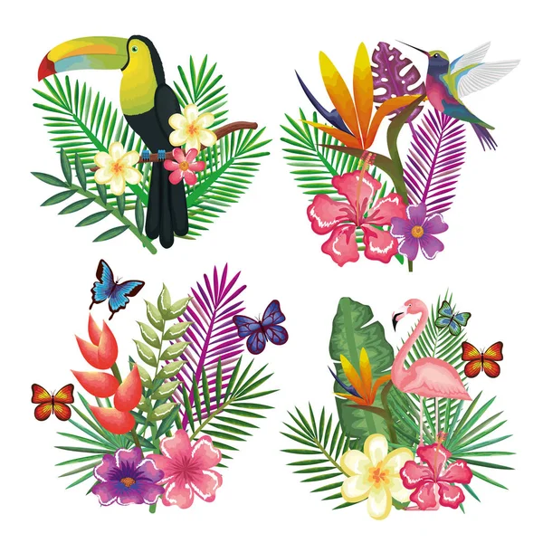 Oiseau tropical et exotique avec décoration florale — Image vectorielle