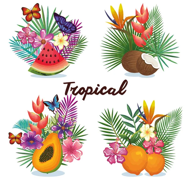 Набор тропических и экзотических фруктов с цветами — стоковый вектор