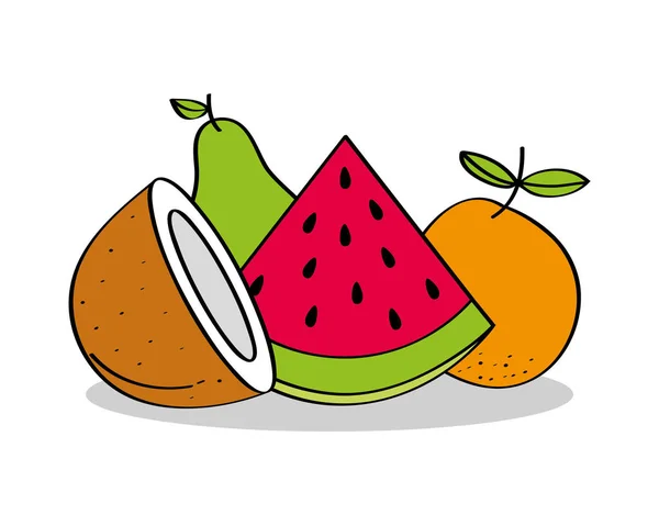 Frukt kokosnöt vattenmelon orange päron hälsosam mat — Stock vektor