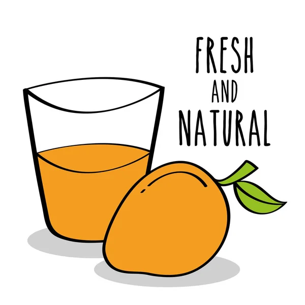 Fruits et jus de mangue frais et naturels — Image vectorielle