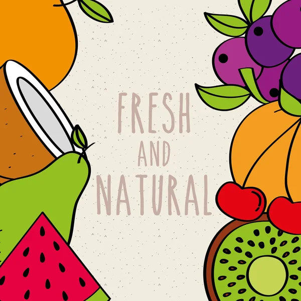 Fresh and natural fruits border decoration food — Stock Vector