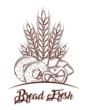 ekmek taze buğday Başak donuts ve çubuk kraker kroki resim