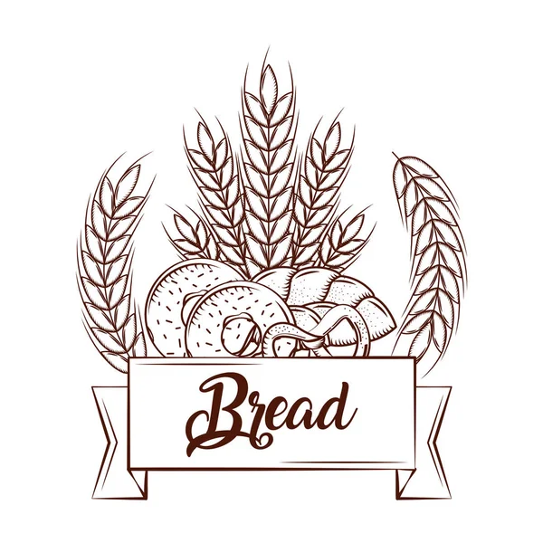 Ekmek çörekler simit buğday fırında lezzetli afiş vintage amblemi — Stok Vektör