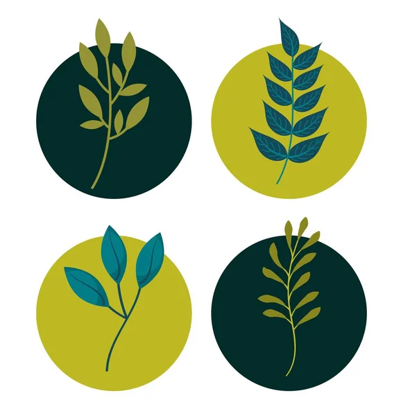 集天然叶枝叶植物装饰 — 图库矢量图片