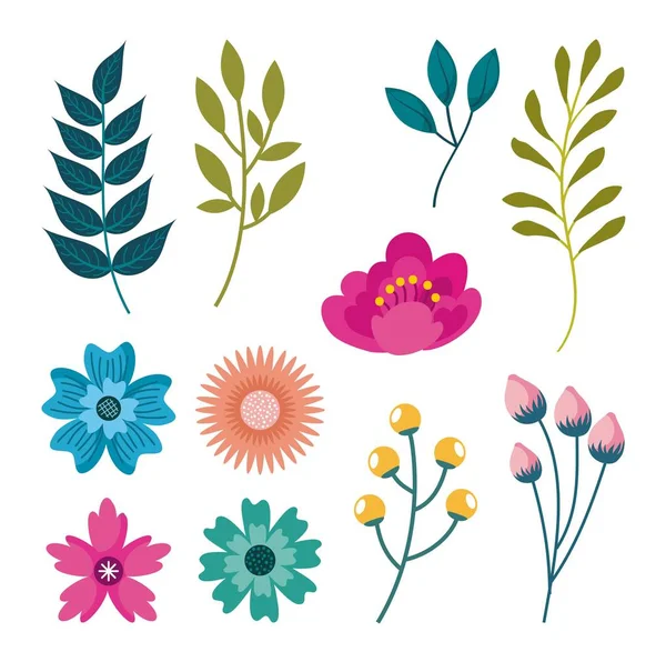 Коллекция природных цветов украшения флоры — стоковый вектор