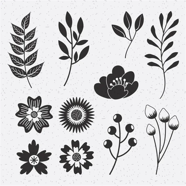 Colección flor natural flora decoración — Vector de stock