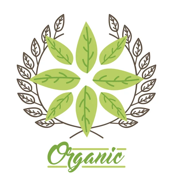 Leaves organic icon — Stock Vector