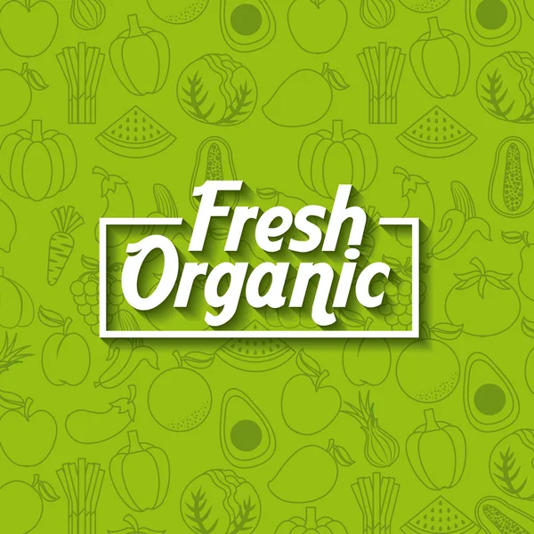 Здоровые органические вегетарианские продукты, связанные иконы изображения — стоковый вектор