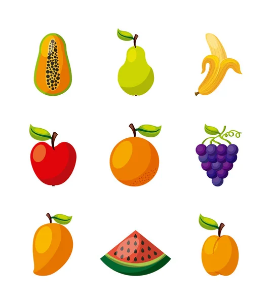 健康的な有機ベジタリアン食品関連のアイコン画像 — ストックベクタ