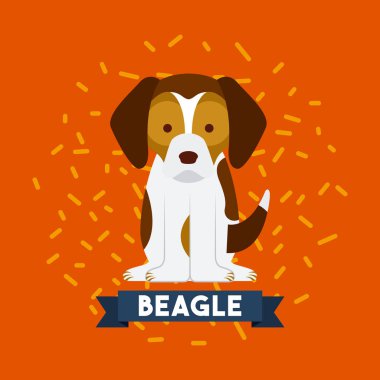 Ben köpek hayatı seviyorum