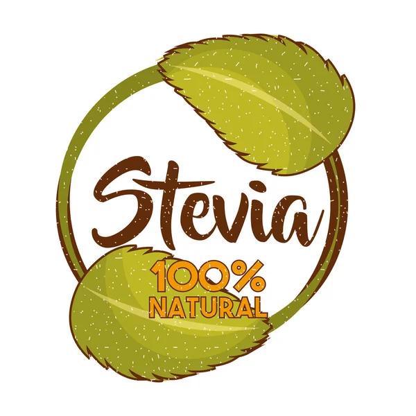 Stevia natural sweetener — Stock Vector