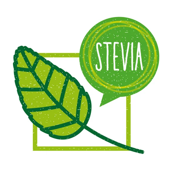 Stevia-természetes édesítőszer — Stock Vector