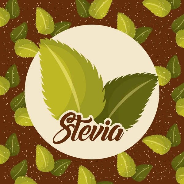 Stevia natural sweetener — Stock Vector