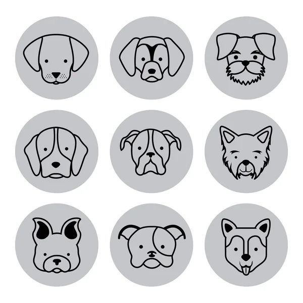 Icono conjunto amor perros — Archivo Imágenes Vectoriales