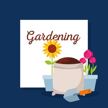 saksı çiçek gül ve ayçiçeği çuval toprak ve kürek yazı Bahçe