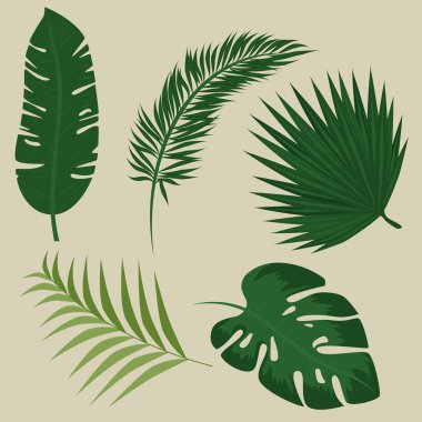 Yaz tropik arka plan 