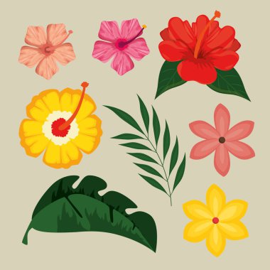 Yaz tropikal grafik öğeleri