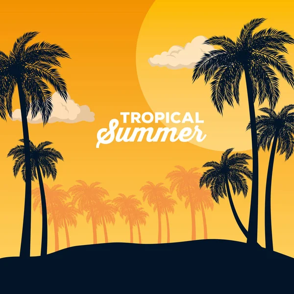 Fondo tropical de verano — Archivo Imágenes Vectoriales