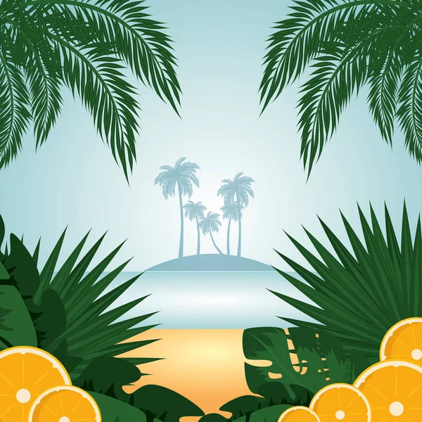 Été fond tropical — Image vectorielle