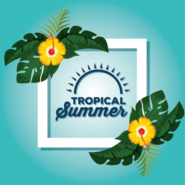 Sommer tropischen Hintergrund — Stockvektor