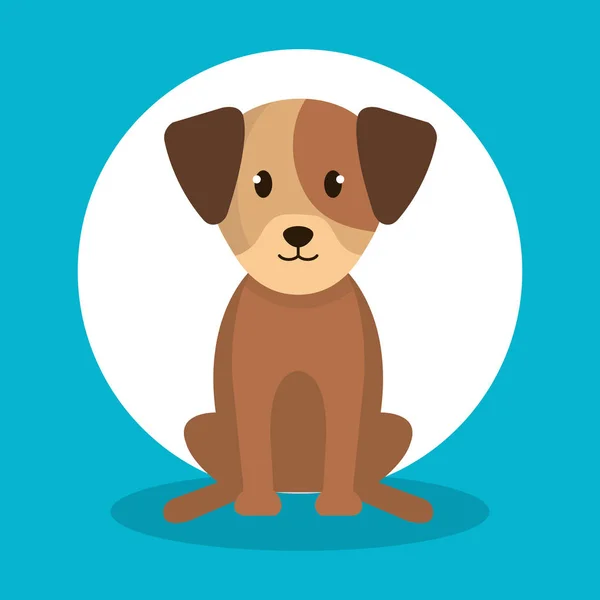 Lindo perro aislado icono — Vector de stock