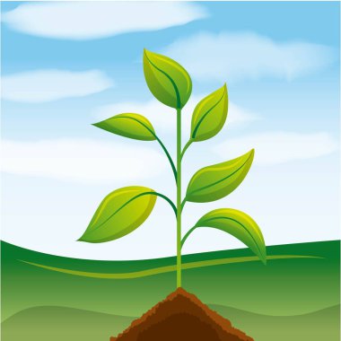 biyoyakıt ekoloji alternatif