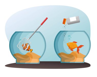 kase akvaryum balık