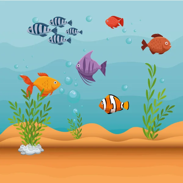 Set fish aquarium icon — Stock Vector