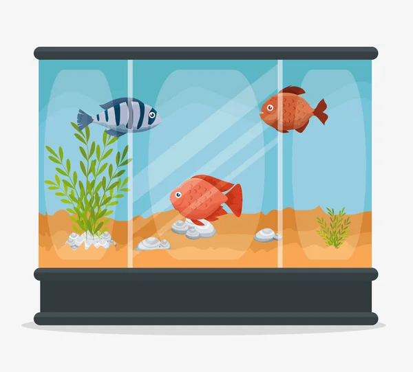Prachtige aquarium met vissen — Stockvector