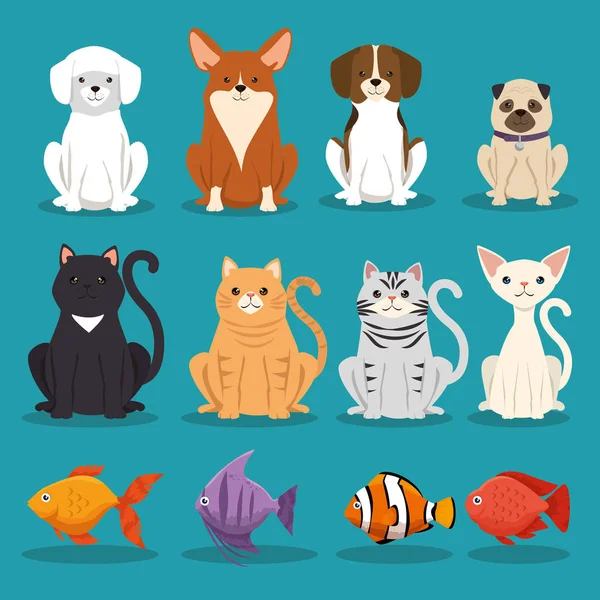 Kediler ve balık evcil hayvan karakter köpekler — Stok Vektör