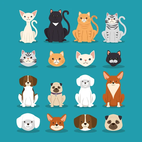 Hundar och katter husdjur tecken — Stock vektor