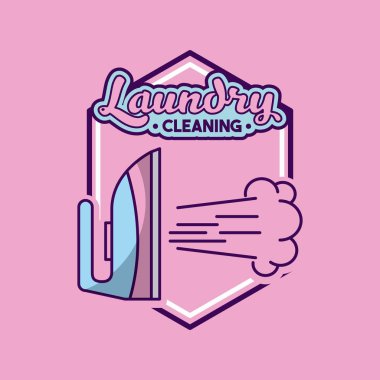 hassas temizlik Çamaşırhane