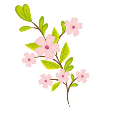 güzel renkli çiçek tasarım