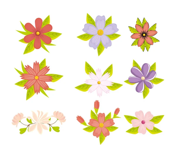 Hermoso diseño de flores coloridas — Vector de stock