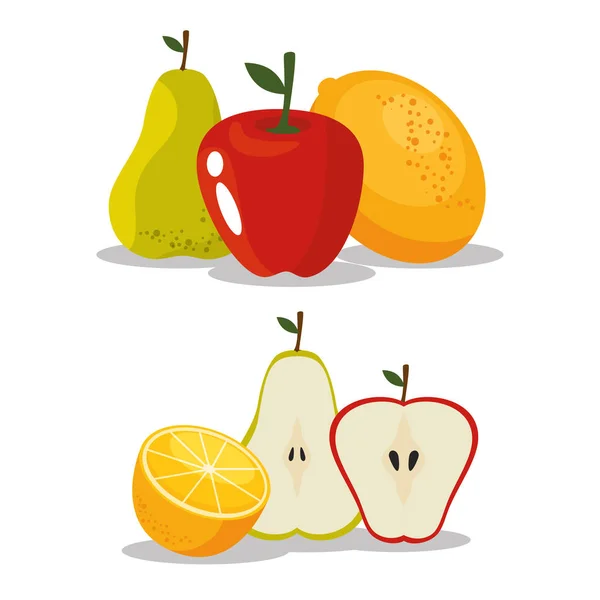 Fresh organic fruit concept — Stock Vector