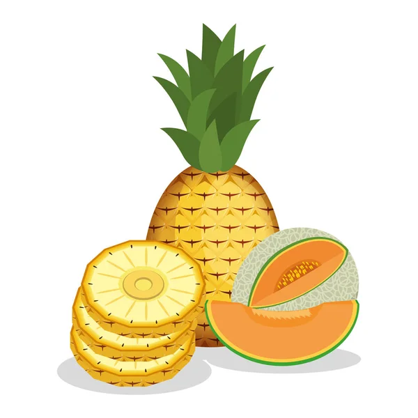 Concepto de fruta orgánica fresca — Vector de stock