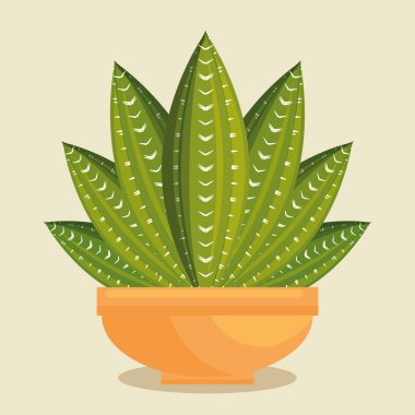 kaktüs bitki botanik simgesi